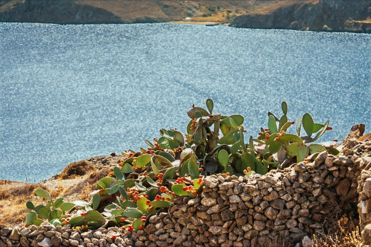 Andromeda Resort Astypalaia Exterior photo